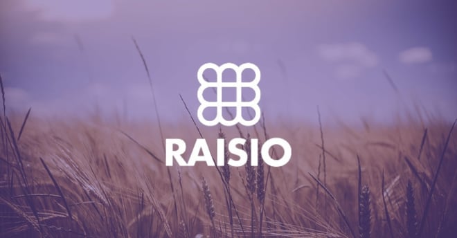 Raisio: 8 ERPs consolidated into 1, managing 1,000+ integrations and enhancing SAP connections