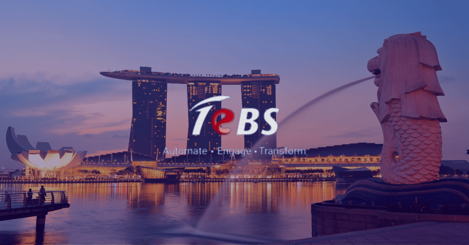 Total eBiz Solutions