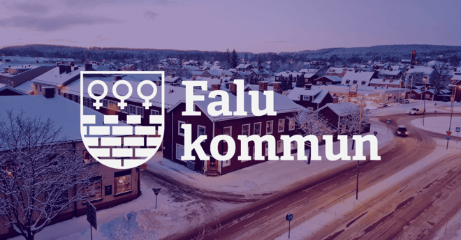 Falu Municipality: Scaling from 20 to 100+ integrations while eliminating consultant dependency